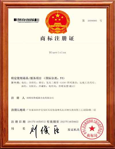 BLUEVISION - 中国大陆商标