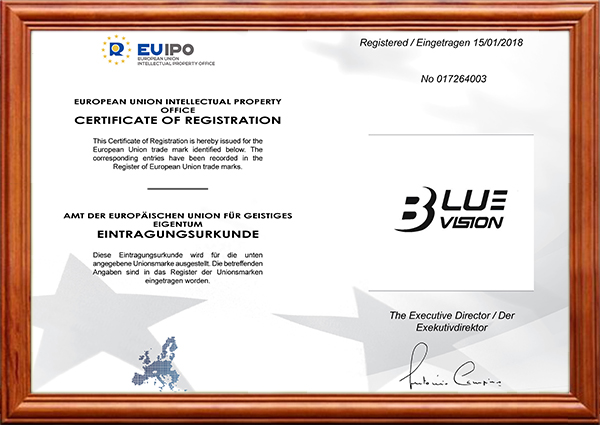 BLUEVISION - 欧盟商标