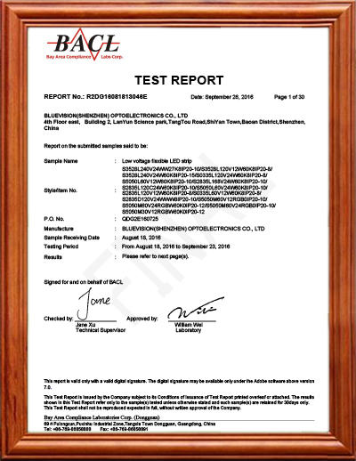 布鲁威森 ISO 14001 :2004
